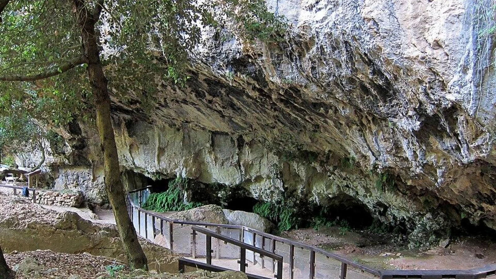 DNA antigo confirma doença rara em enterro de 12 mil anos na Grotta del Romito