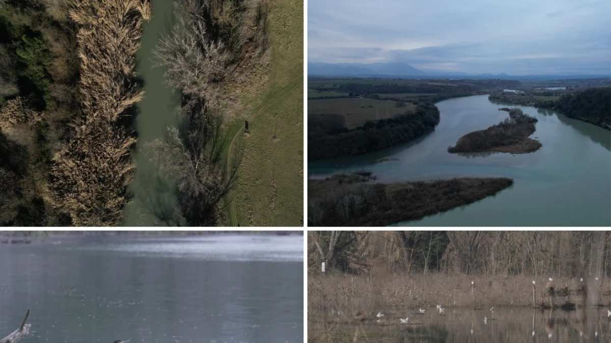 Zonas úmidas na Itália: 63 refúgios essenciais contra a crise climática, mas faltam novas áreas protegidas