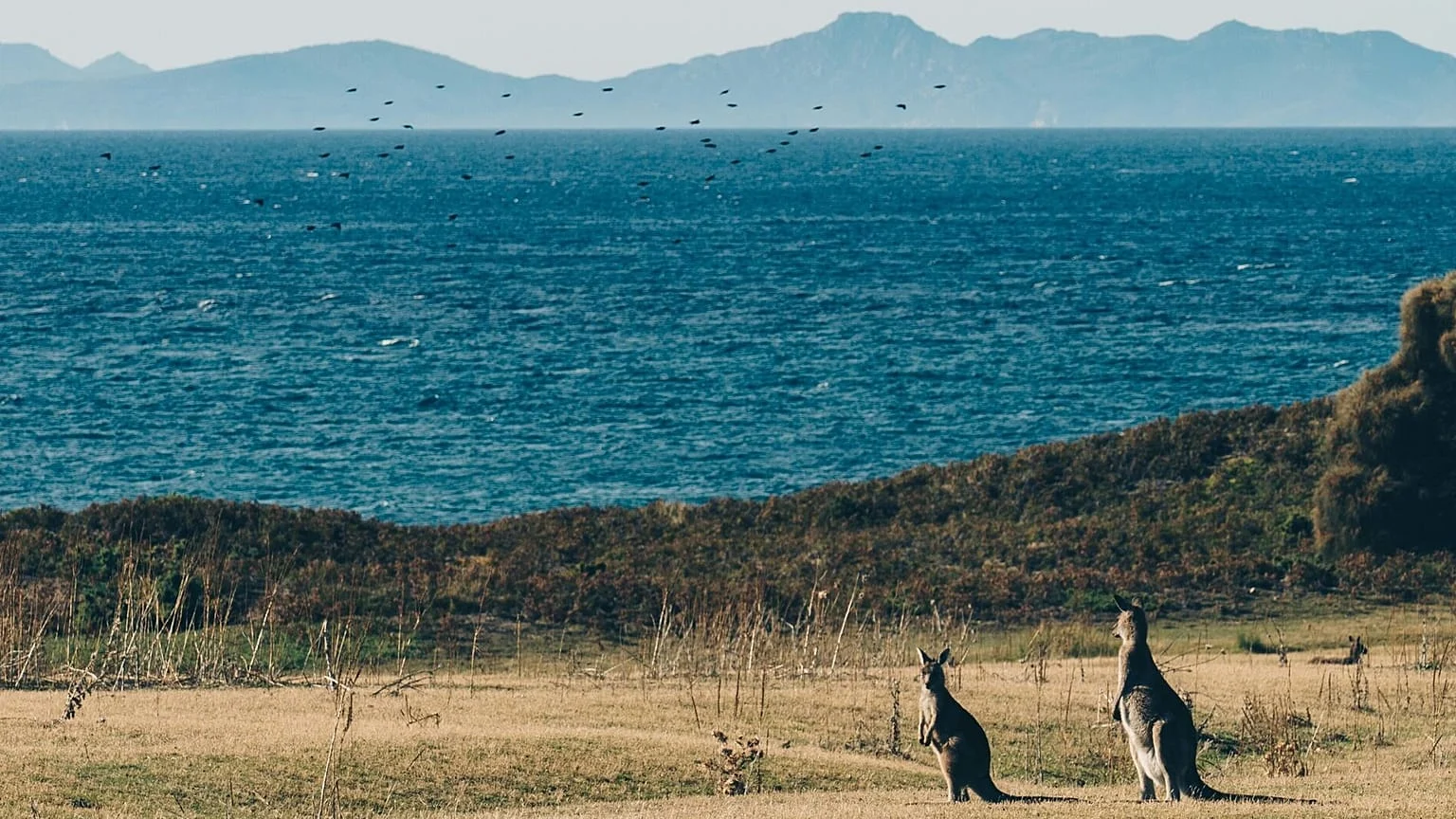 Turistas Procuram Nascente que Não Existe Após Indicação de IA