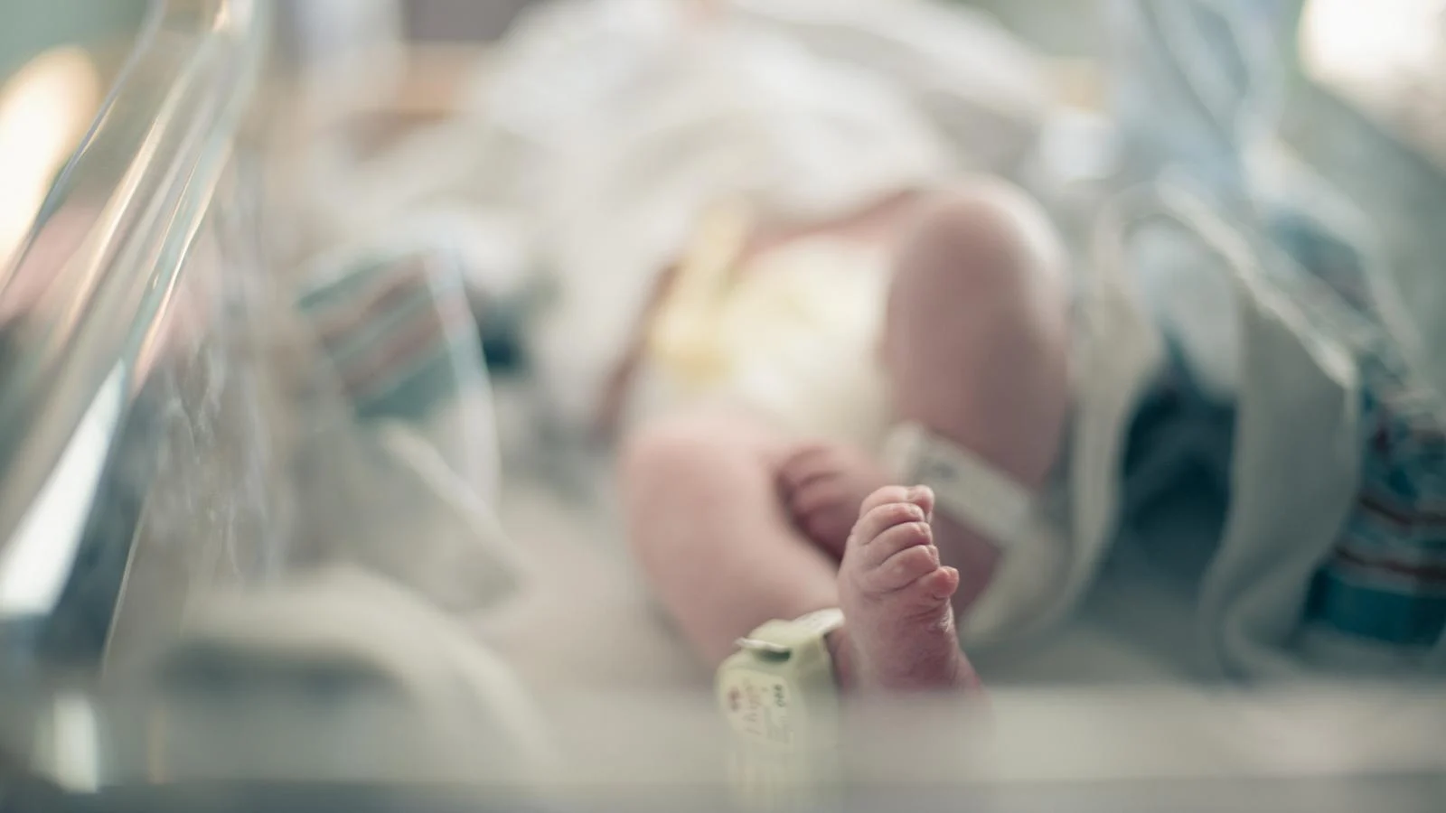 Maternidade segura: Cardarelli adota novas cunas de co-sleeping para promover sono compartilhado e fortalecimento do vínculo