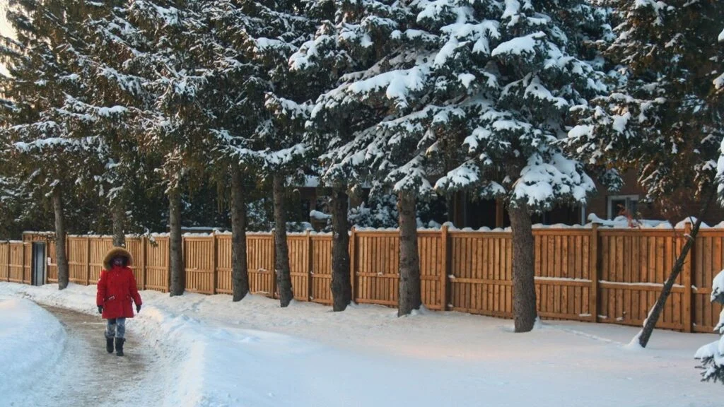 Gelo e neve tormentano gli Stati Uniti — agi.it