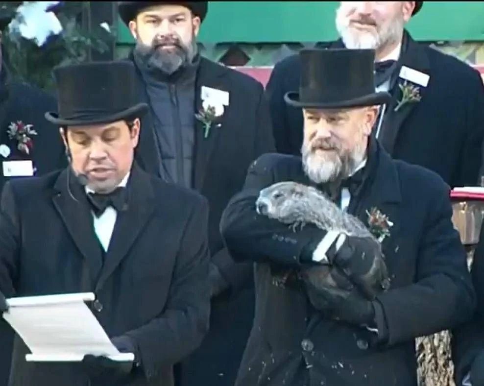 Punxsutawney Phil prevê mais seis semanas de frio: tradição, história e precisão científica