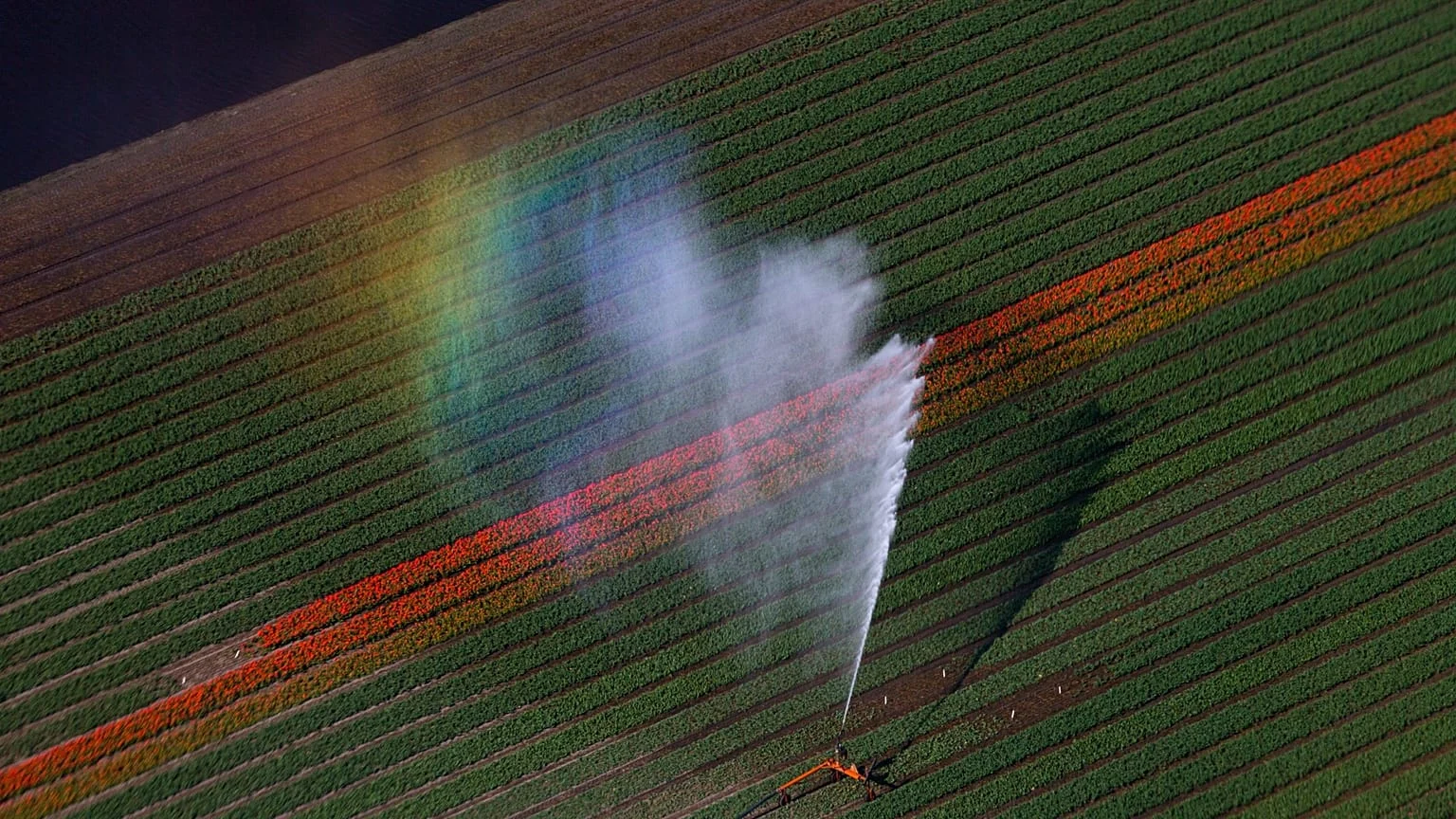 70% dos campos europeus já estão contaminados por pesticidas, alerta estudo
