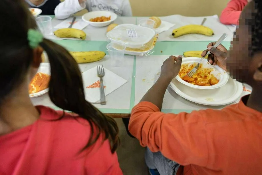 Comer sem ajuda na primeira infância favorece desenvolvimento da linguagem, diz estudo multinacional