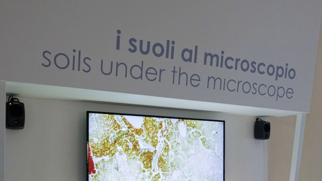 Grotte di Pertosa-Auletta reabrem em 14 de fevereiro: temporada do MIdA começa com Mario Tozzi