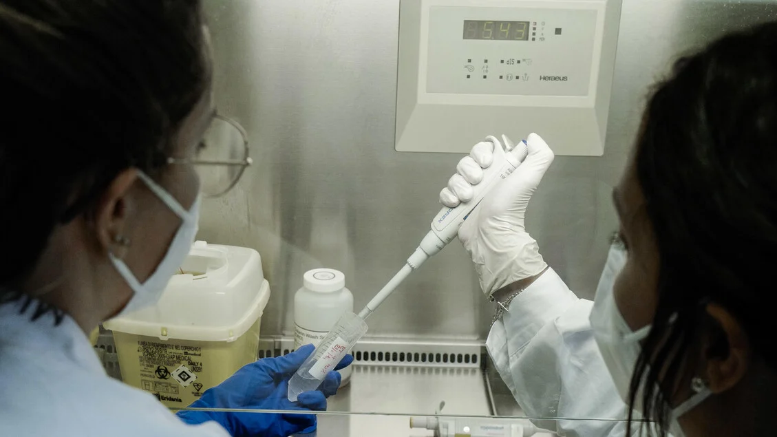 Proteína Bace2 controla captação de lipídios em tumores e abre nova via contra cânceres dependentes de gordura