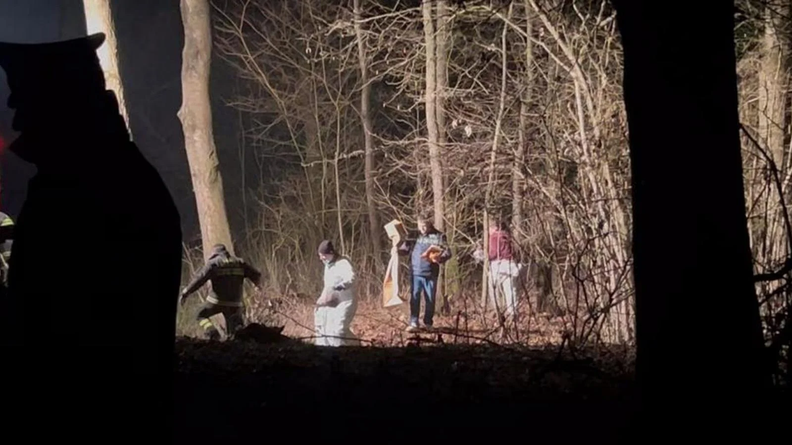 Cadáver de mulher de 86 anos é encontrado em bosque de Stupinigi; filho é detido por ocultamento