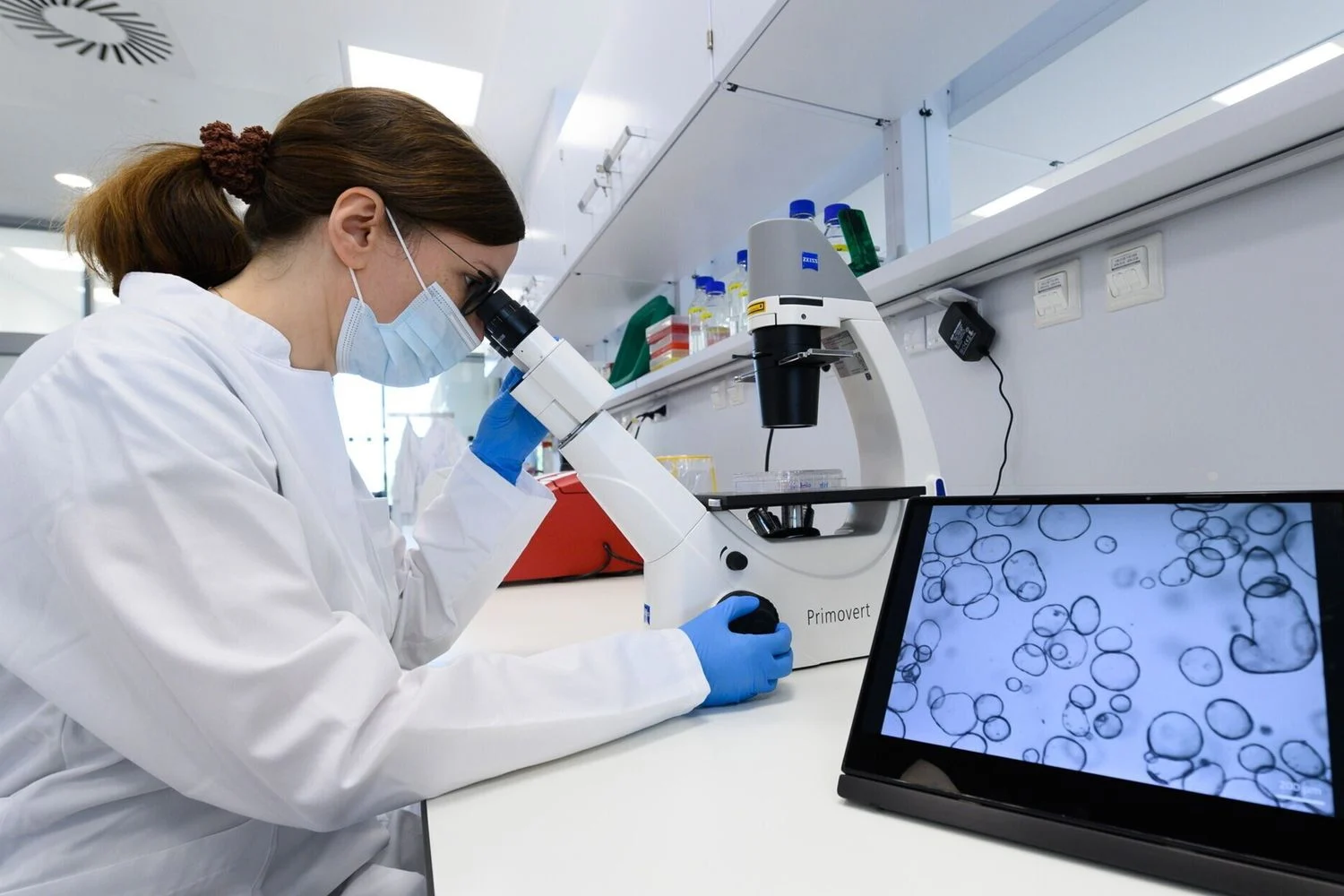 Poluição, estilos de vida e o aumento do risco onco-hematológico: reflexões do Congresso AIL