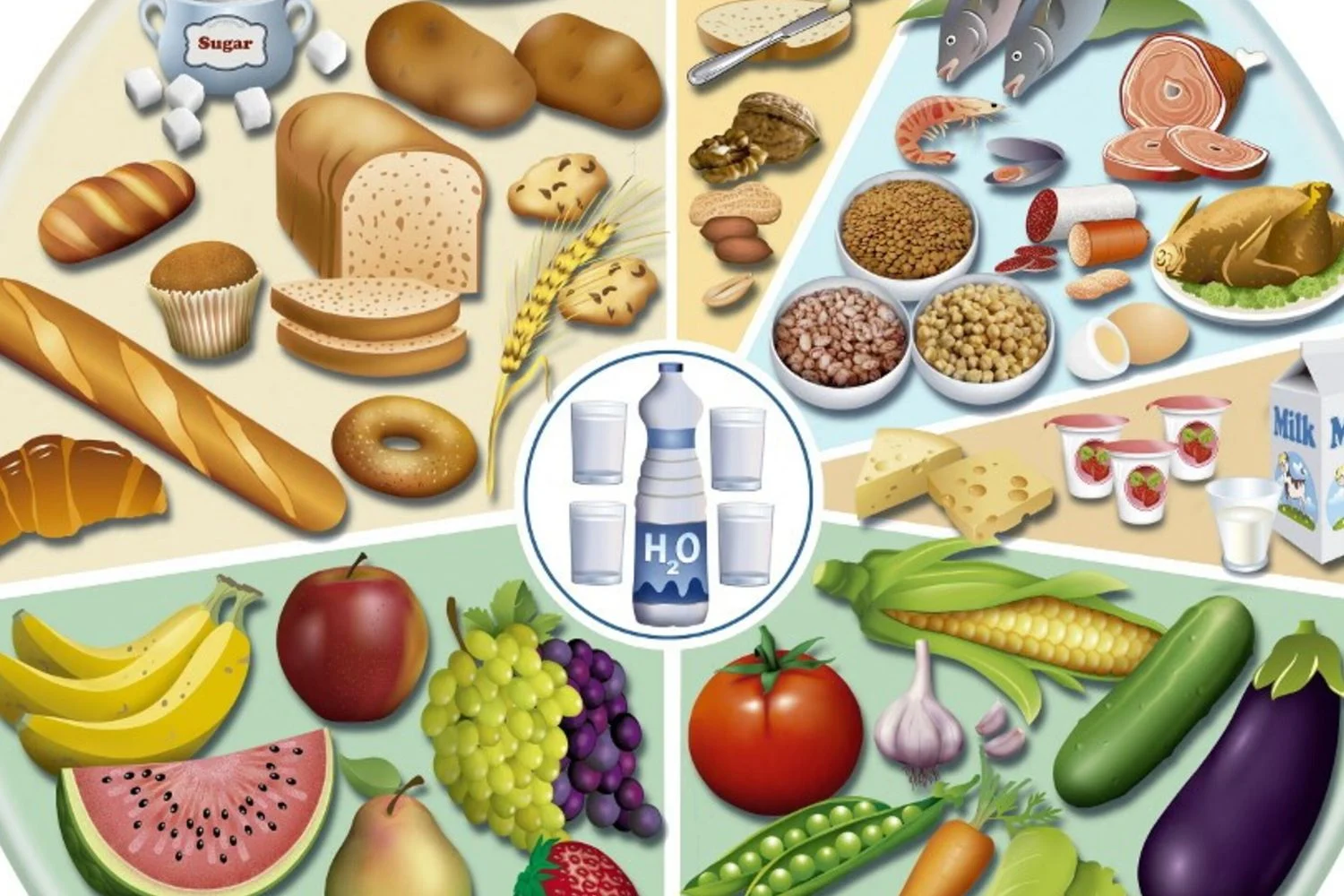 Coração em primeiro lugar: por que a qualidade da dieta importa mais que gorduras ou carboidratos