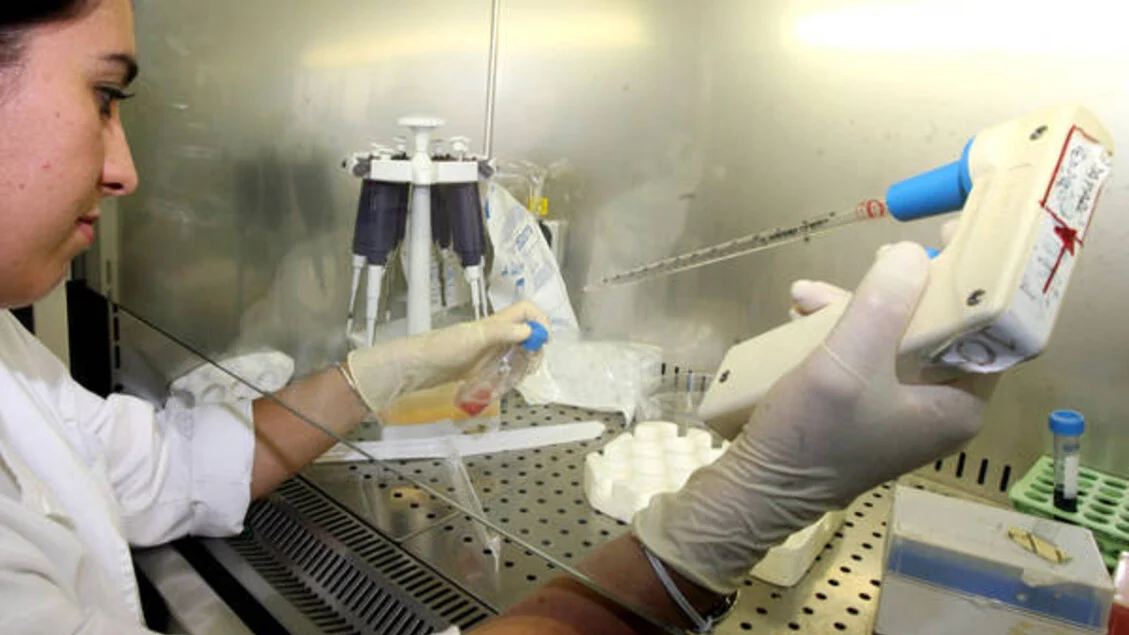 Leucemia linfoblástica aguda: pesquisadores de Pádua desenvolvem estratégia que potencializa ação do Venetoclax