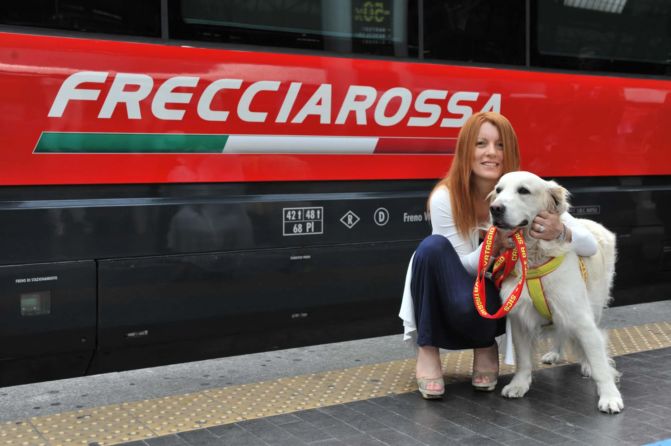 Viajando com seu Pet pela Trenitalia: Condições e Regras Importantes