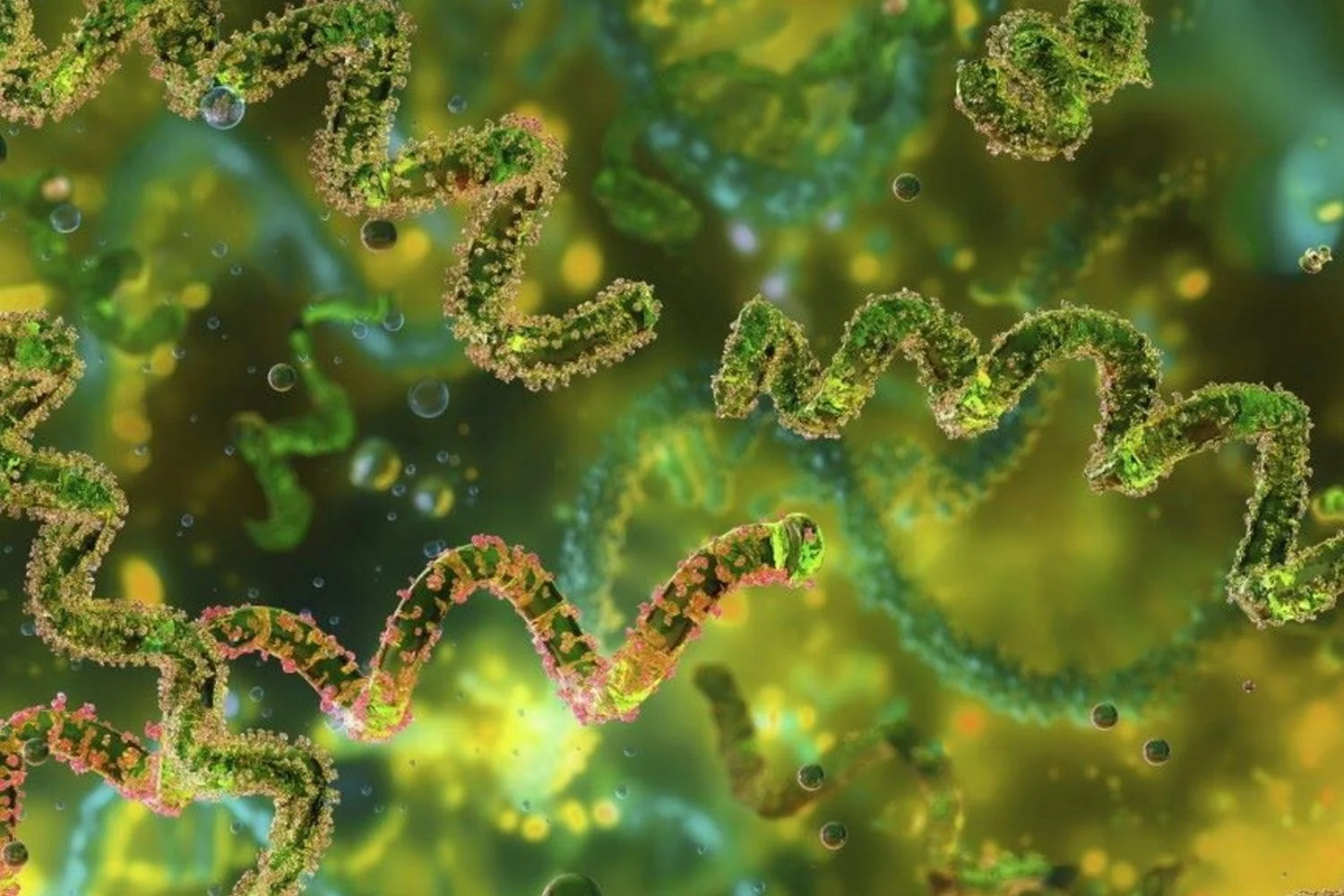 Como a geometria das superfícies de dispositivos médicos pode barrar bactérias e reduzir a resistência aos antibióticos