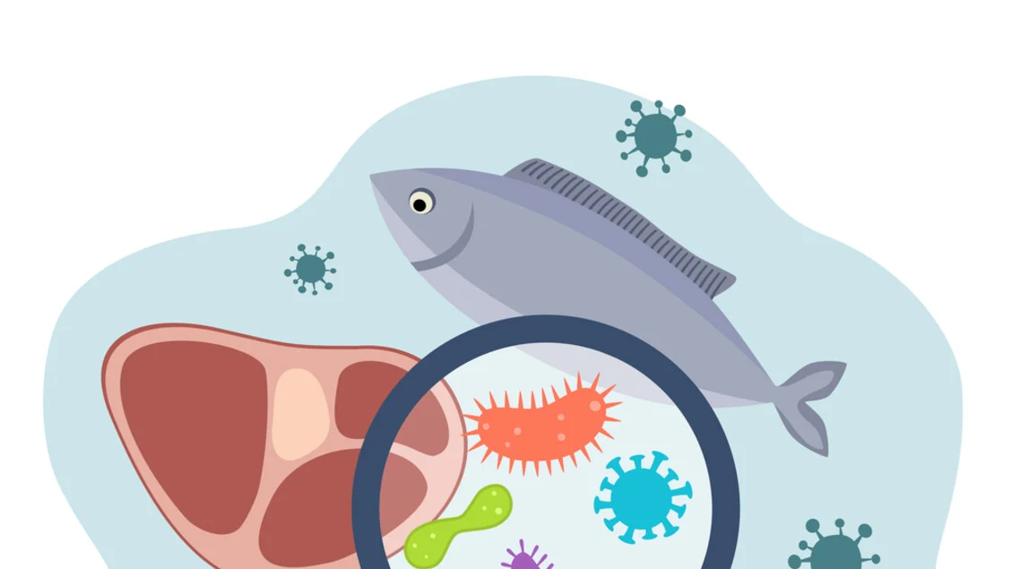 Alerta na Europa: bactérias resistentes em intoxicações alimentares ameaçam tratamentos