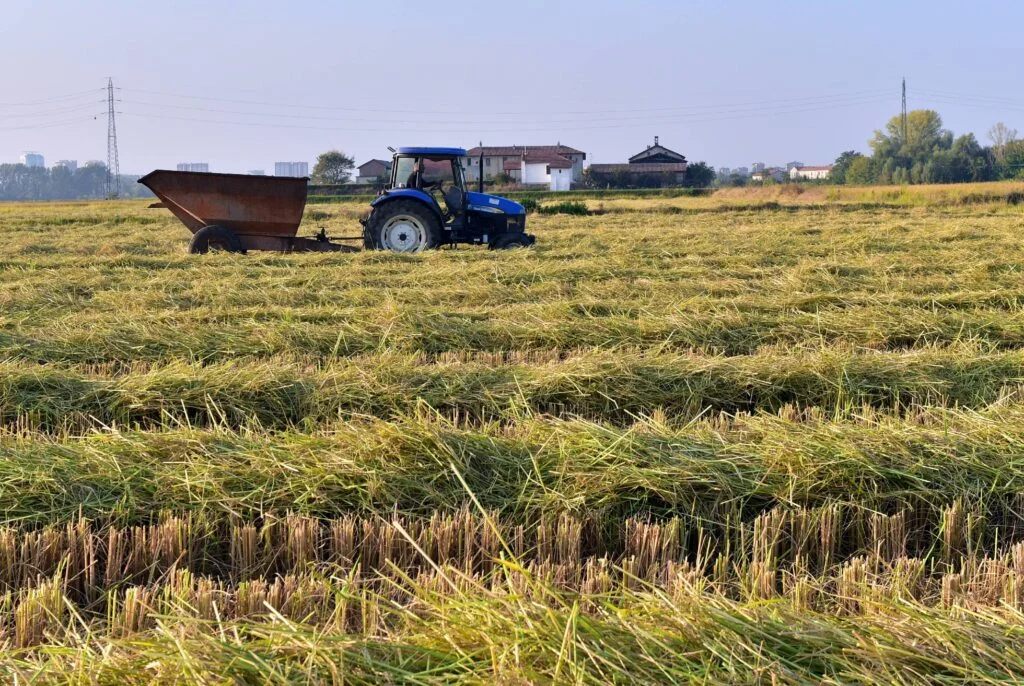 EPPO desmantela rede de fraude aos fundos PAC na Sicília: mais de €1,4 milhão em jogo