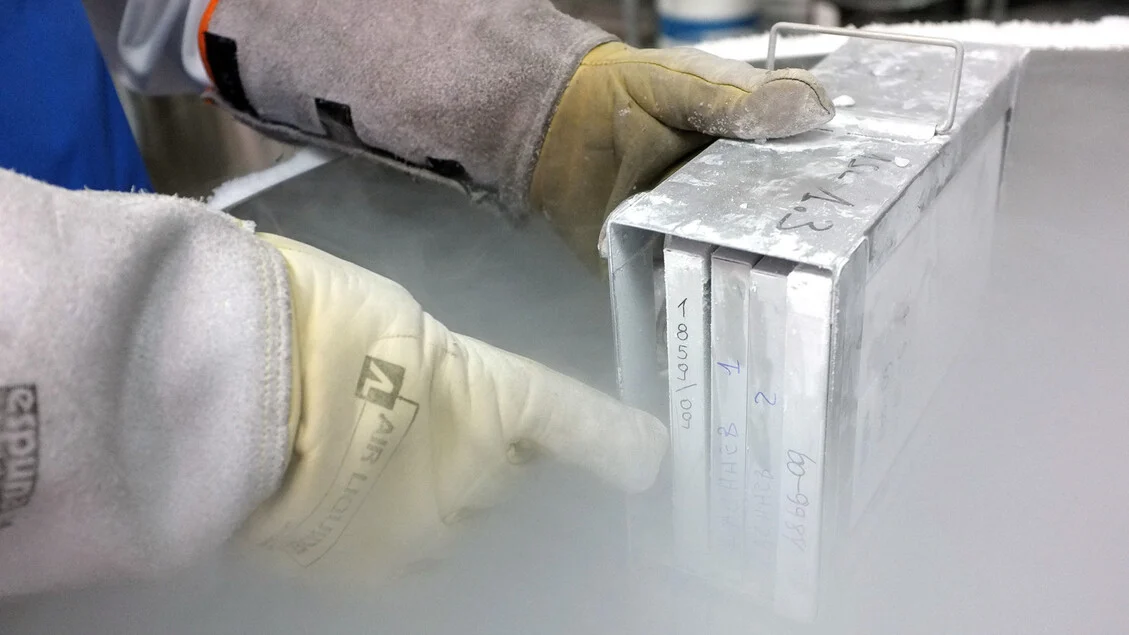 Alessandria lidera a Itália na coleta de sangue do cordão umbilical: 1.071 doações em 2025