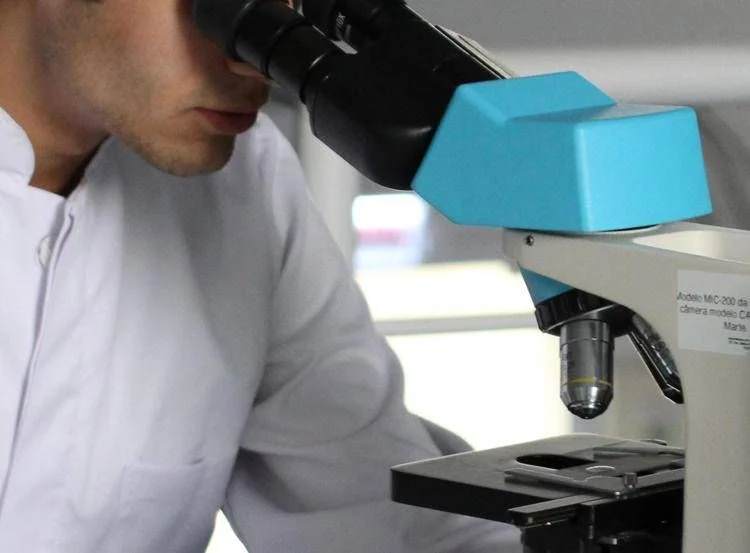 Bactéria de 5 mil anos encontrada em gelo na Romênia resiste a 10 antibióticos modernos