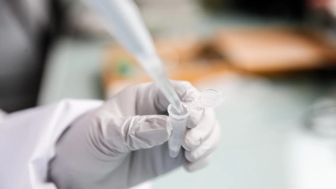 Biópsia líquida pode orientar tratamentos no câncer de testículo: quem precisa de quimioterapia de alta dose