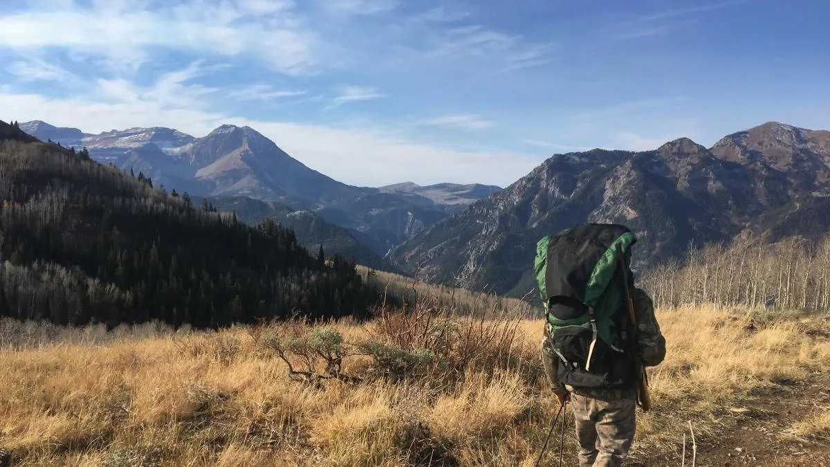 400 mil assinaturas pedem ao Senado: pare a reforma da caça e proteja quem frequenta florestas e montanhas