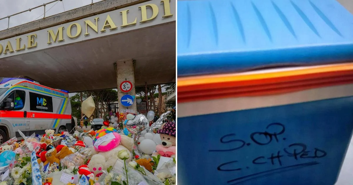 Testemunhas relatam tentativas de descongelar o coração: 'Era uma pedra duríssima' no caso de Domenico