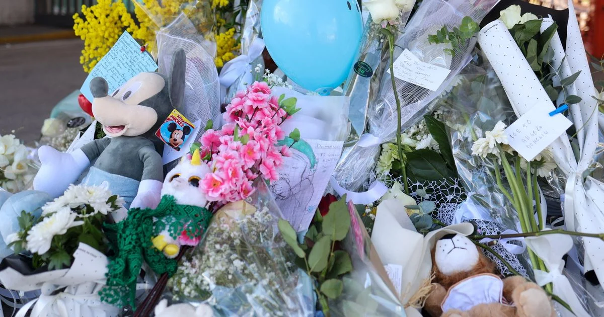 Il cuore di Domenico trasportato in un box frigo, ispettori del ministero all'ospedale di Bolzano — agi.it