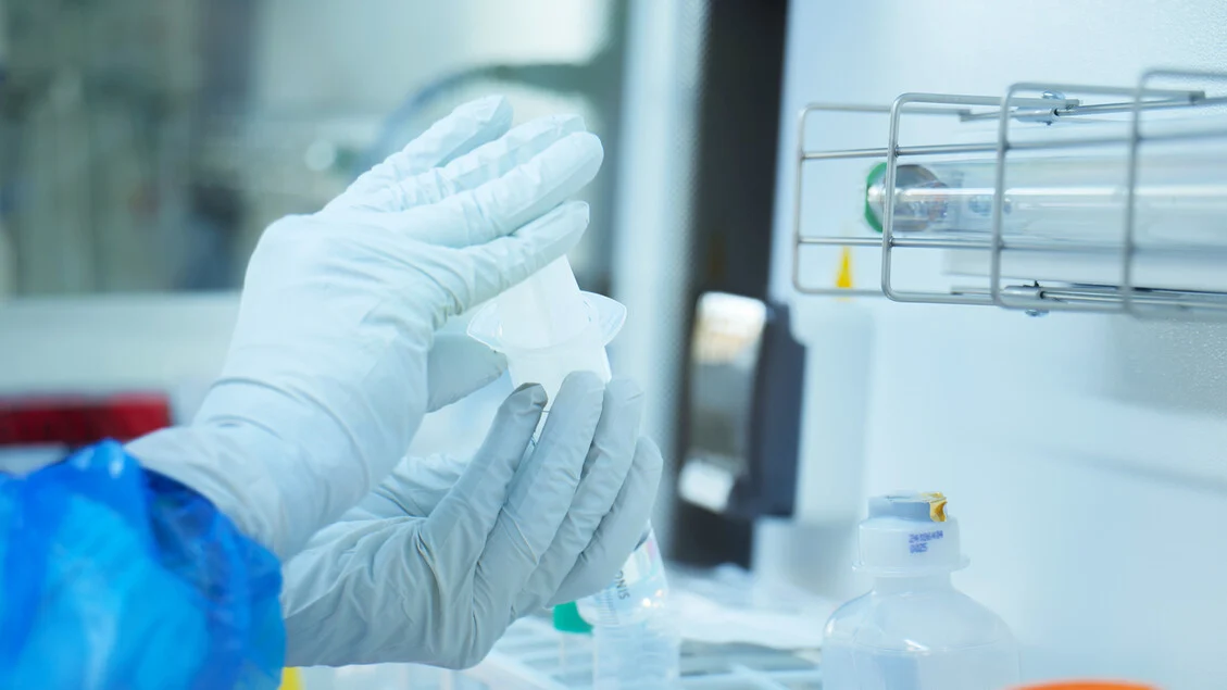 Gallina: cooperação europeia é essencial para enfrentar as doenças raras