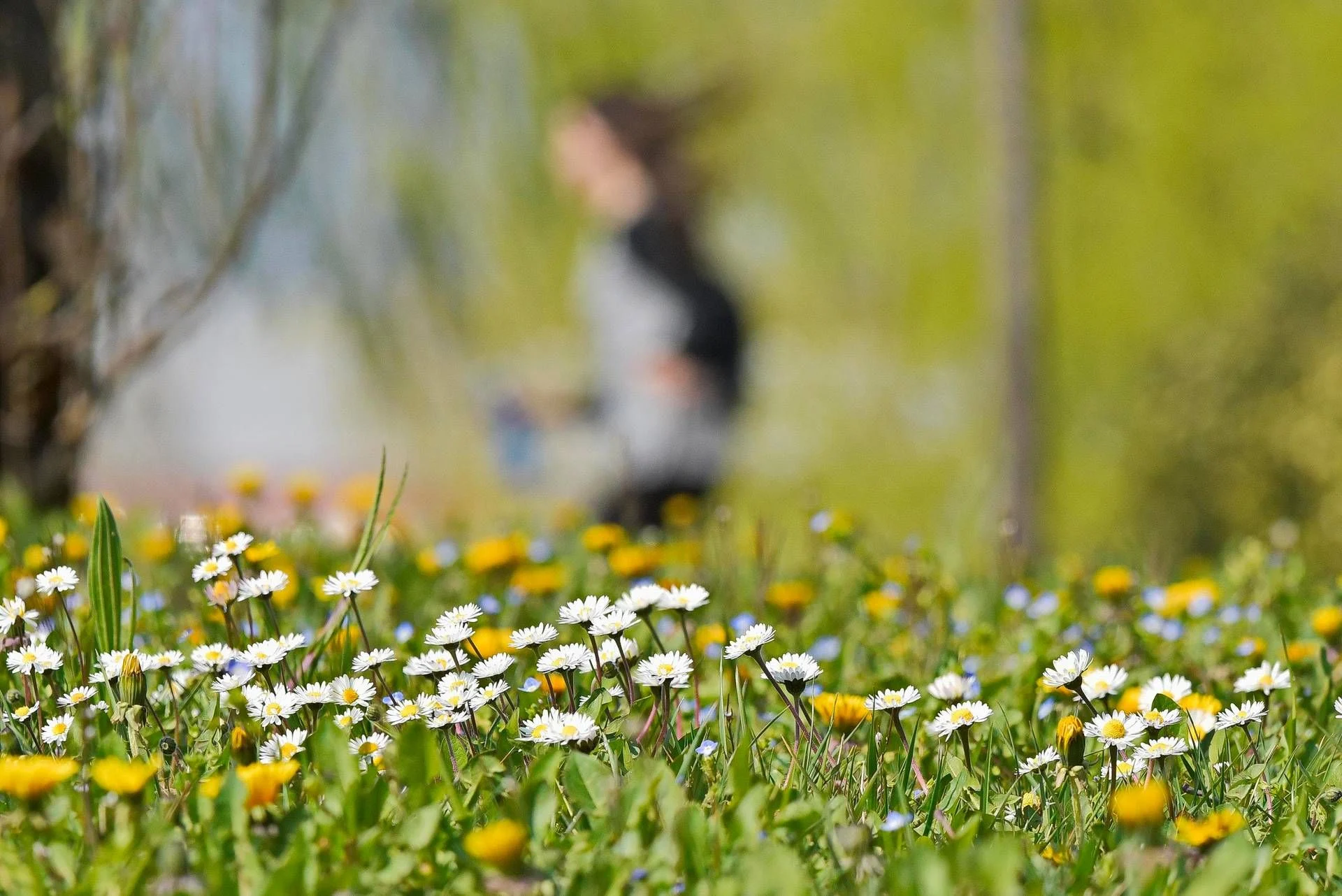 Inverno acabou na Itália: calor e primavera dominam apesar de chuva inicial