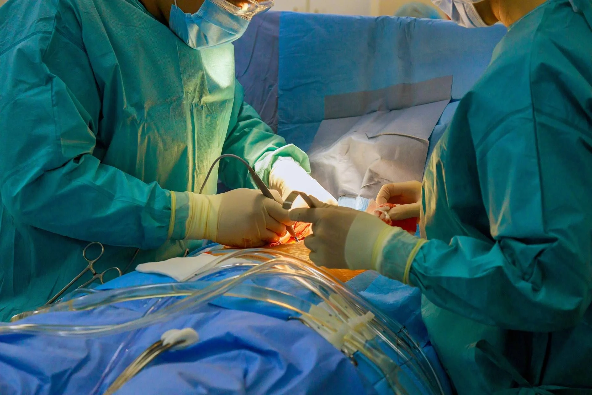 Primeira no mundo: Implantada com sucesso corda tendínea bioengenheirada em modelo animal de grande porte