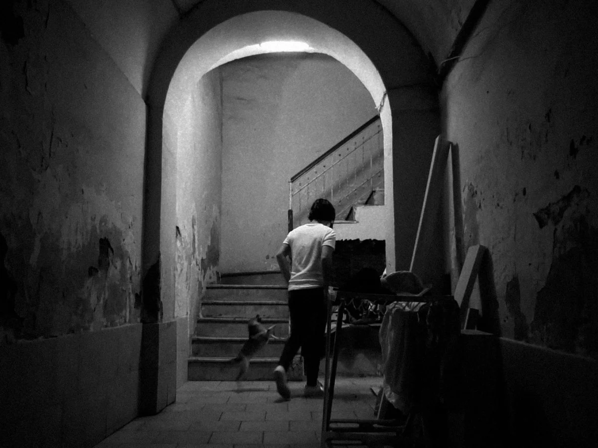 Bergamo Film Meeting 44ª edição: 170 títulos, homenagem a Kiarostami e retrospetiva de Holland