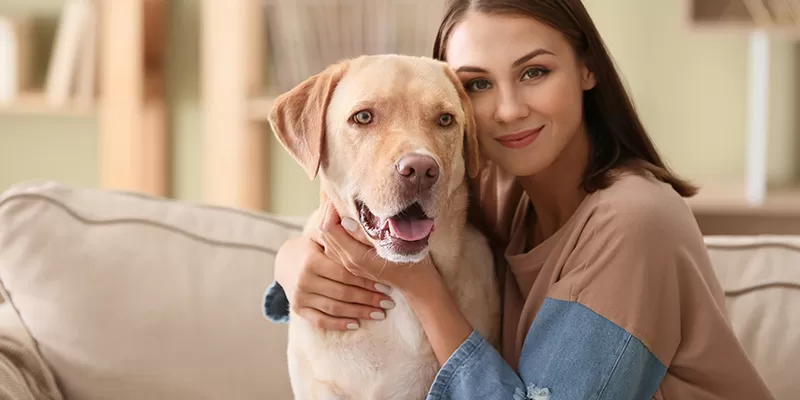 Legislação Italiana sobre Bem-Estar Animal: Conheça as Principais Leis para Pets