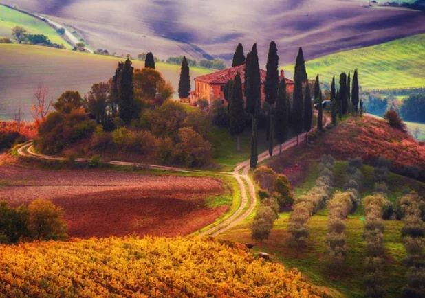 Toscana em setembro: Vinhedos, Vendemmia e Vilarejos Encantadores