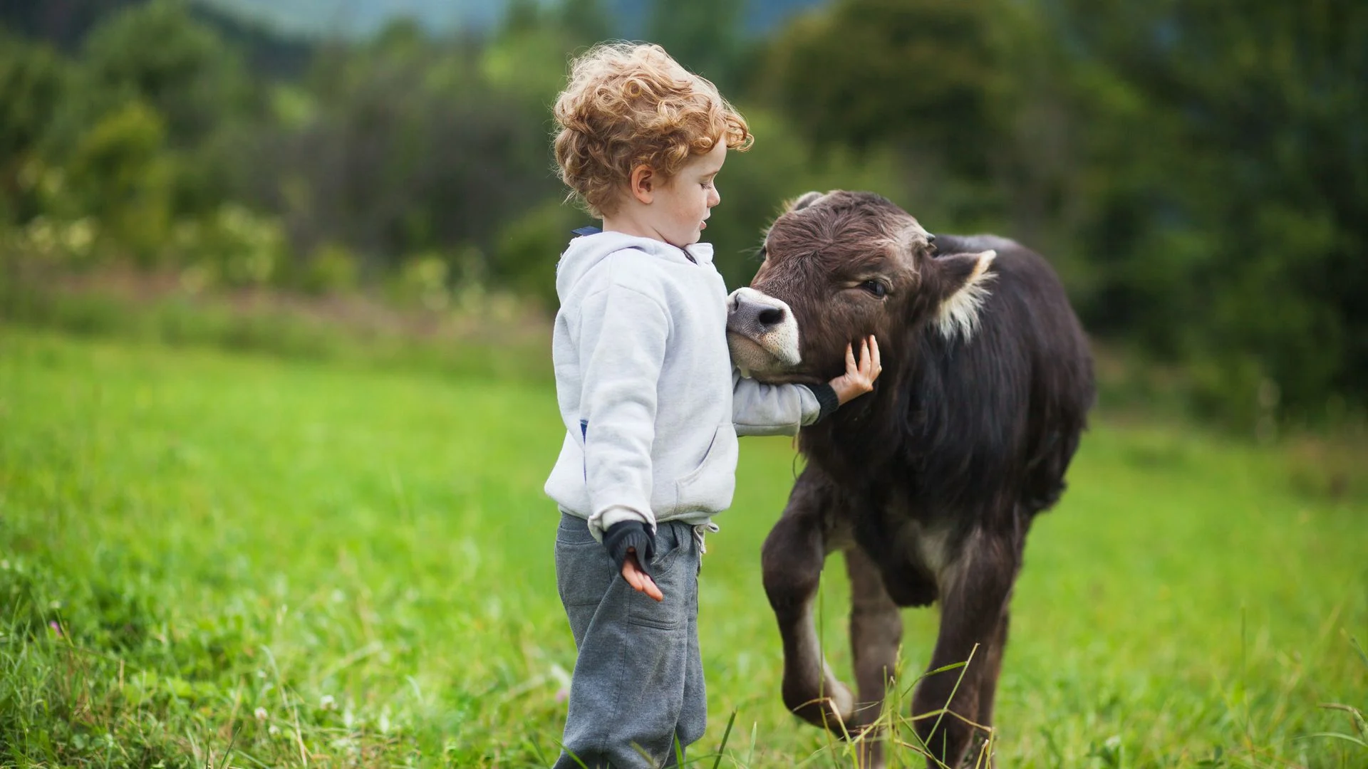 Trentino-Alto Ádige lança incentivo de até 1.100 euros para recém-nascidos