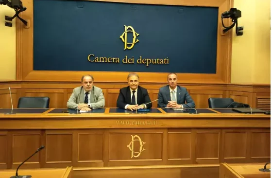 Tirelli, Merlo e Borghese apresentam proposta alternativa de reforma da cidadania na Câmara dos Deputados