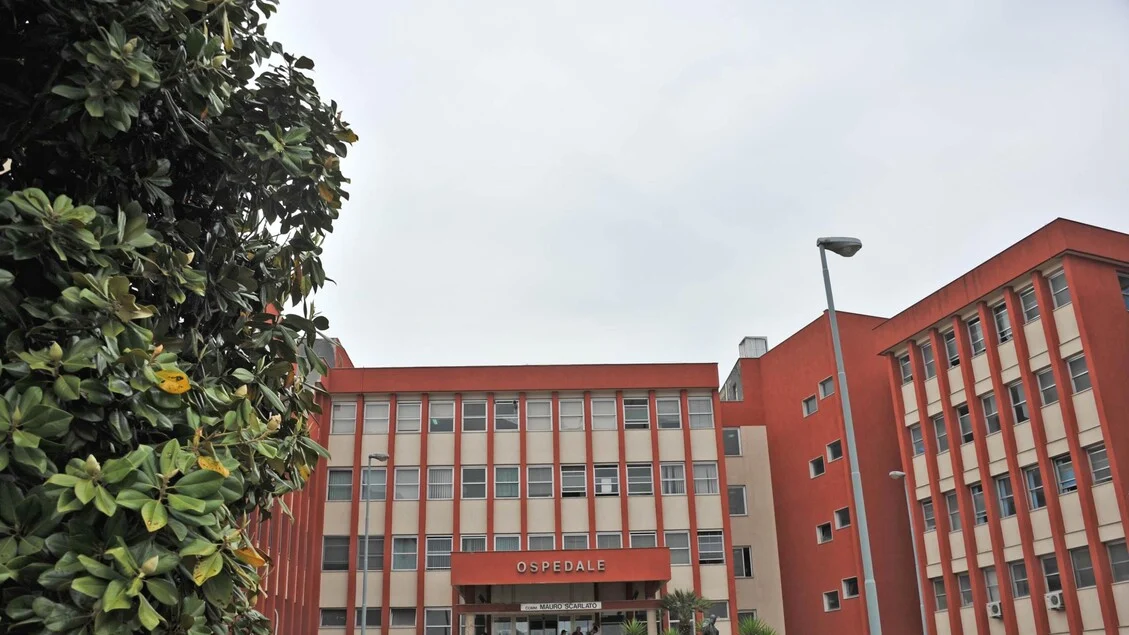 Bebê de 13 meses atacado pelo pitbull da família em Scafati; não corre risco de vida