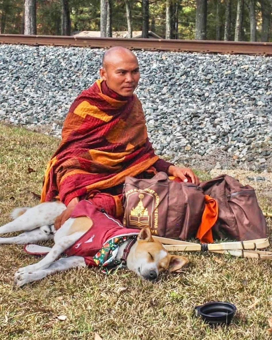 Il «buen camino» di Aloka, il cane che accompagna i monaci nel pellegrinaggio per la pace negli Usa — corriere.it