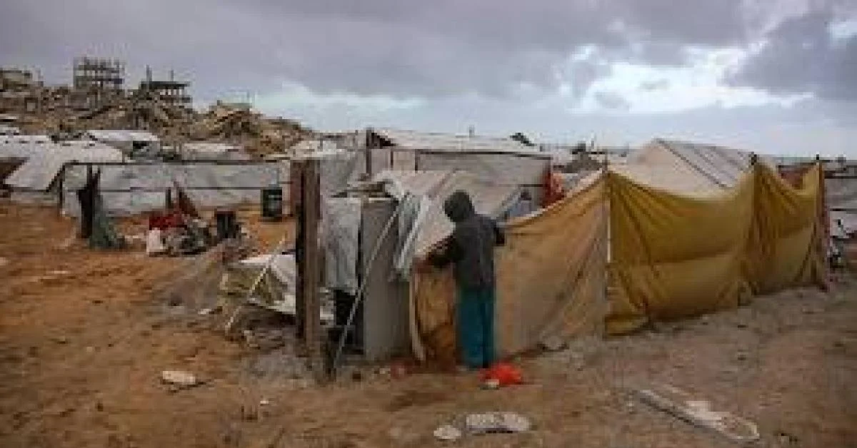 Pai Nosso, a Raiva e o Espelho da Democracia: Entre Guerras, Genocídios e o Roteiro do Silêncio