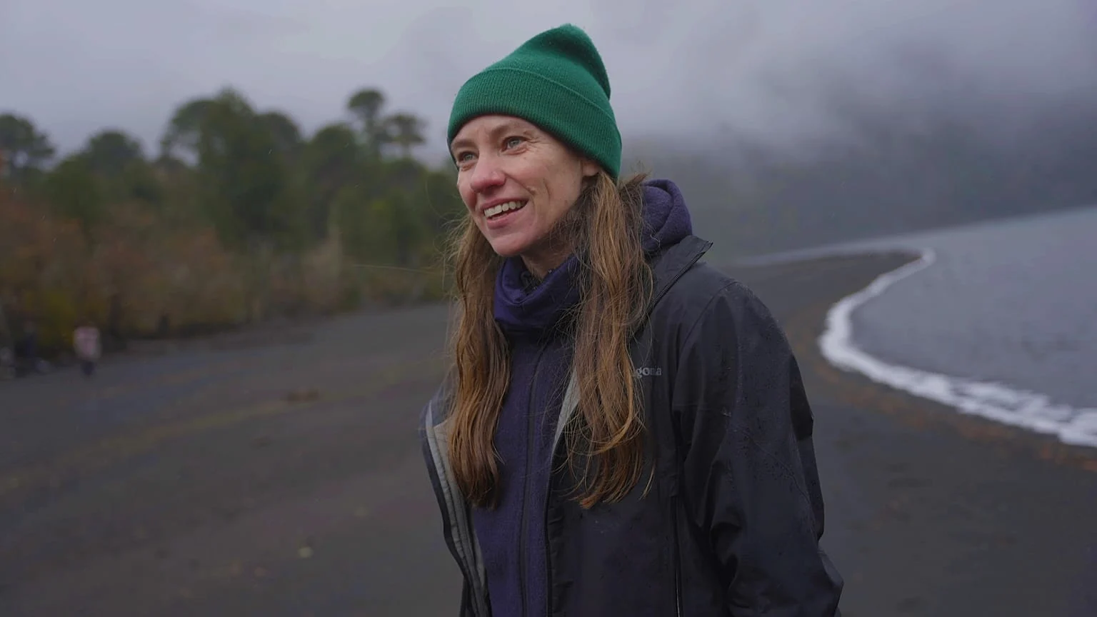 Fungos micorrízicos: o poder oculto de sequestrar carbono que pode mudar a luta contra a crise climática