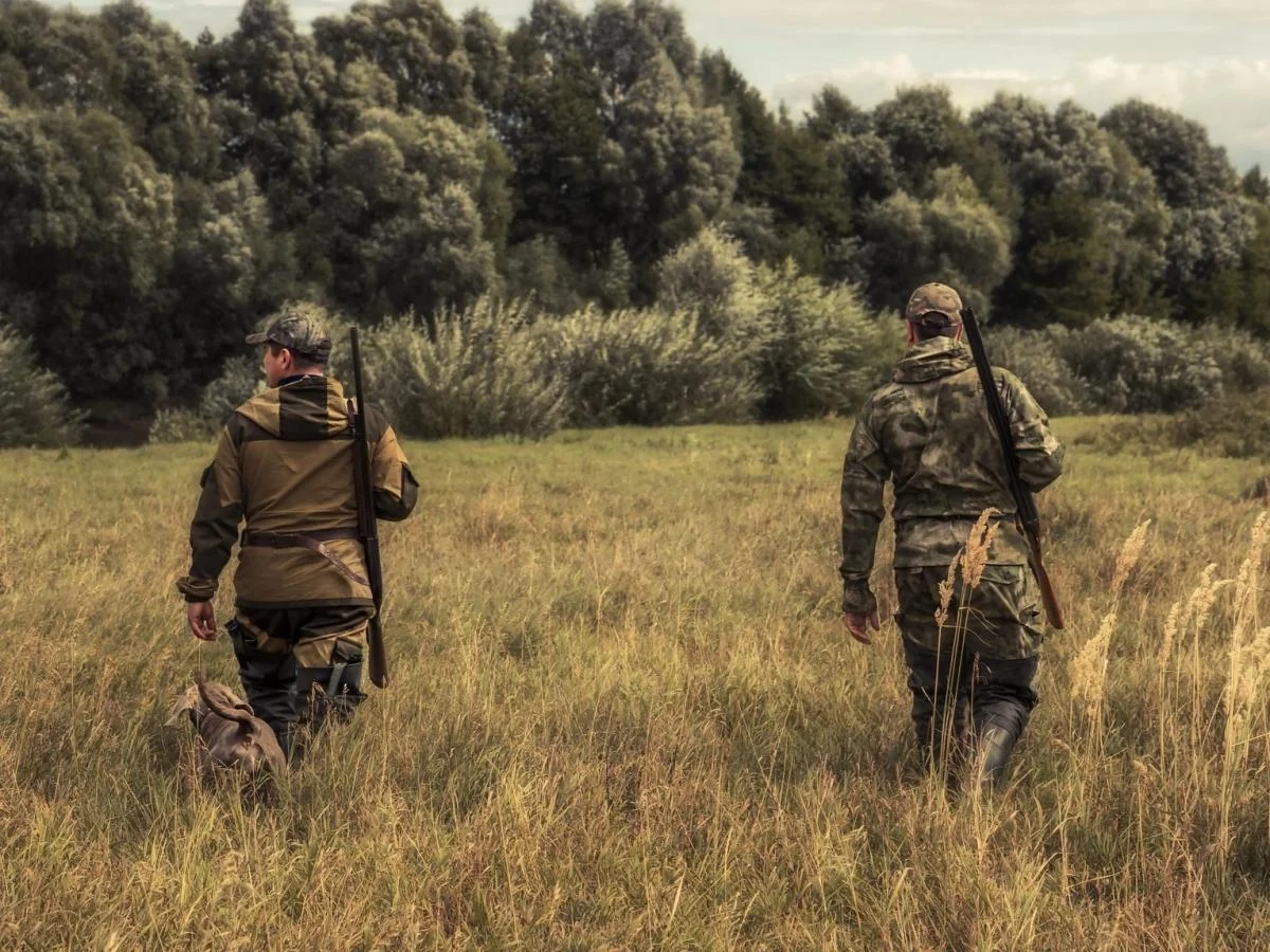 Ciclone Harry: WWF pede suspensão imediata da caça na Sicília diante do risco a pessoas e fauna