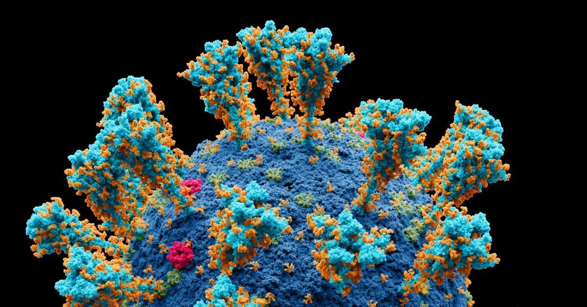 Debate público sobre vacinas ganha destaque após troca entre Bassetti e Belén