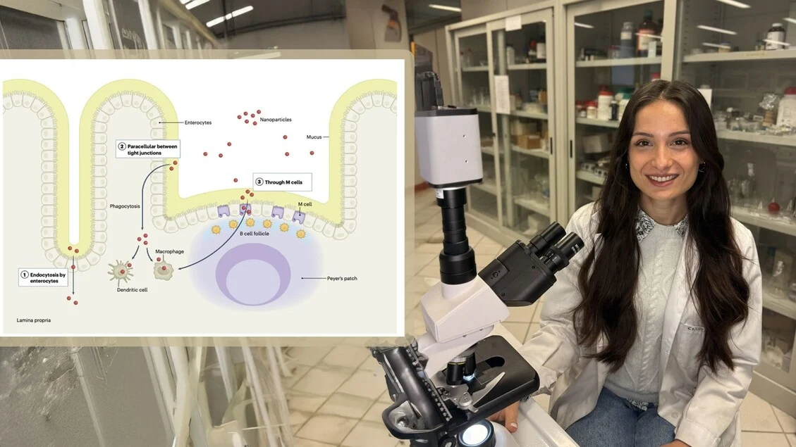 Estudo da Universidade de Molise aponta presença e riscos das partículas de plástico na alimentação humana