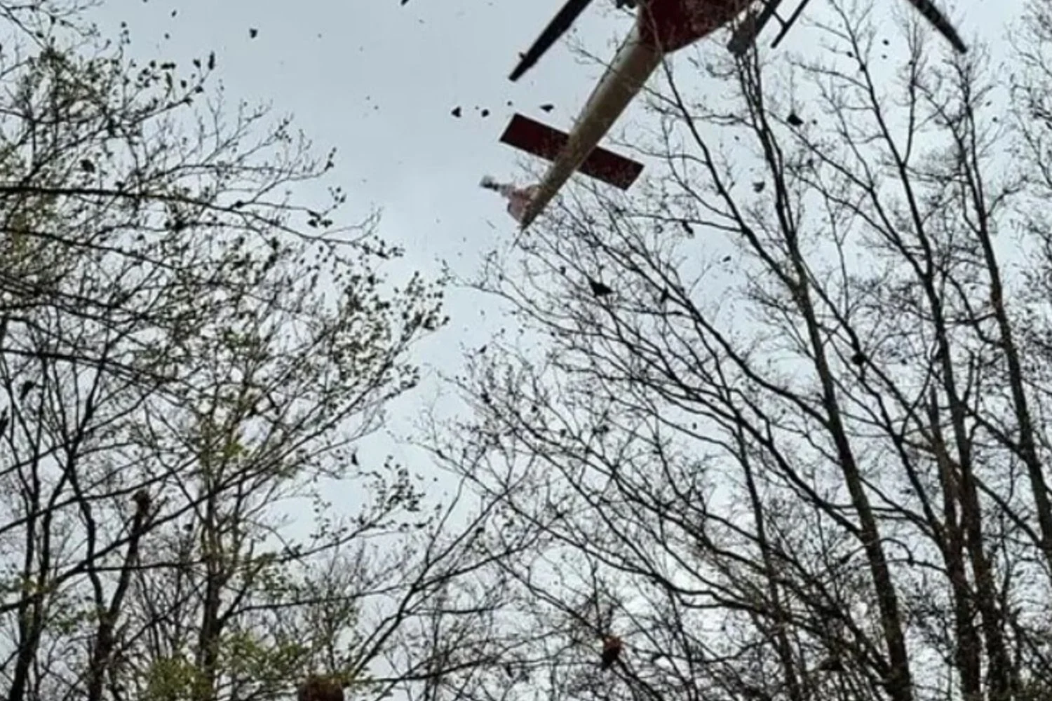 Sardegna: pastores desaparecidos em Urzulei são localizados em bom estado após inundação