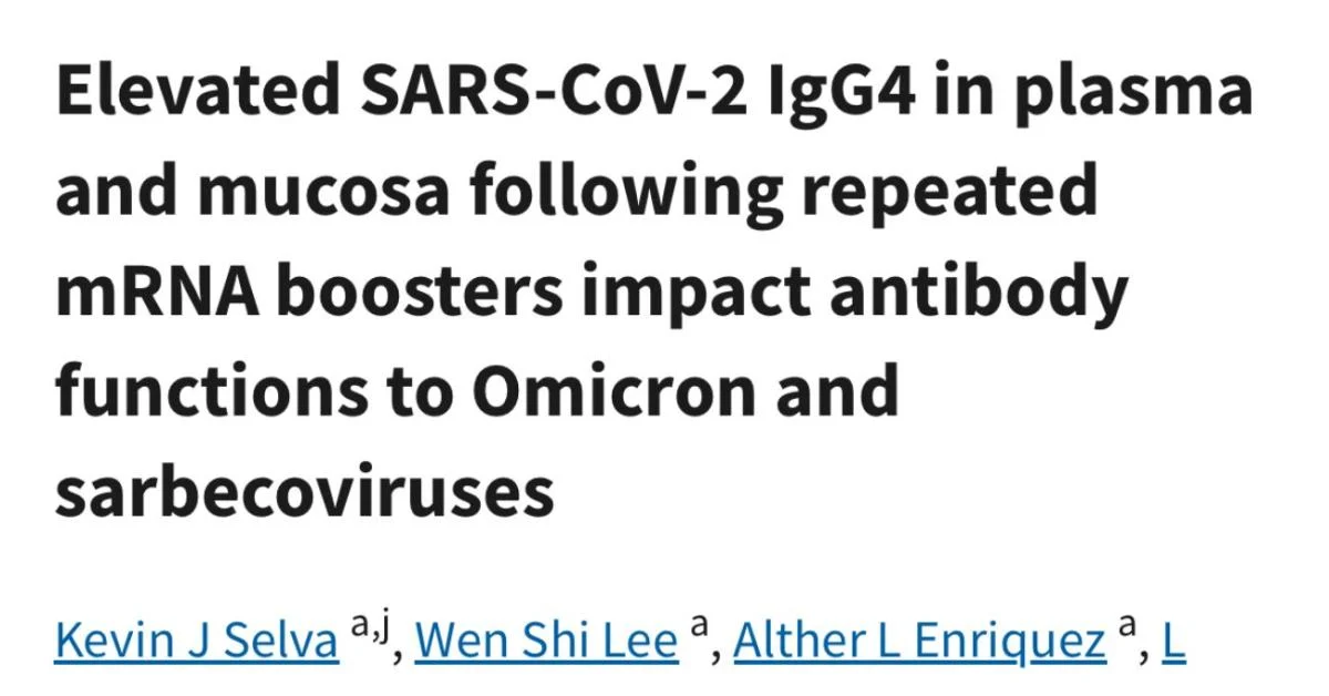 Estudo australiano: boosters mRNA elevam IgG4 e podem reduzir a resposta do organismo às infecções
