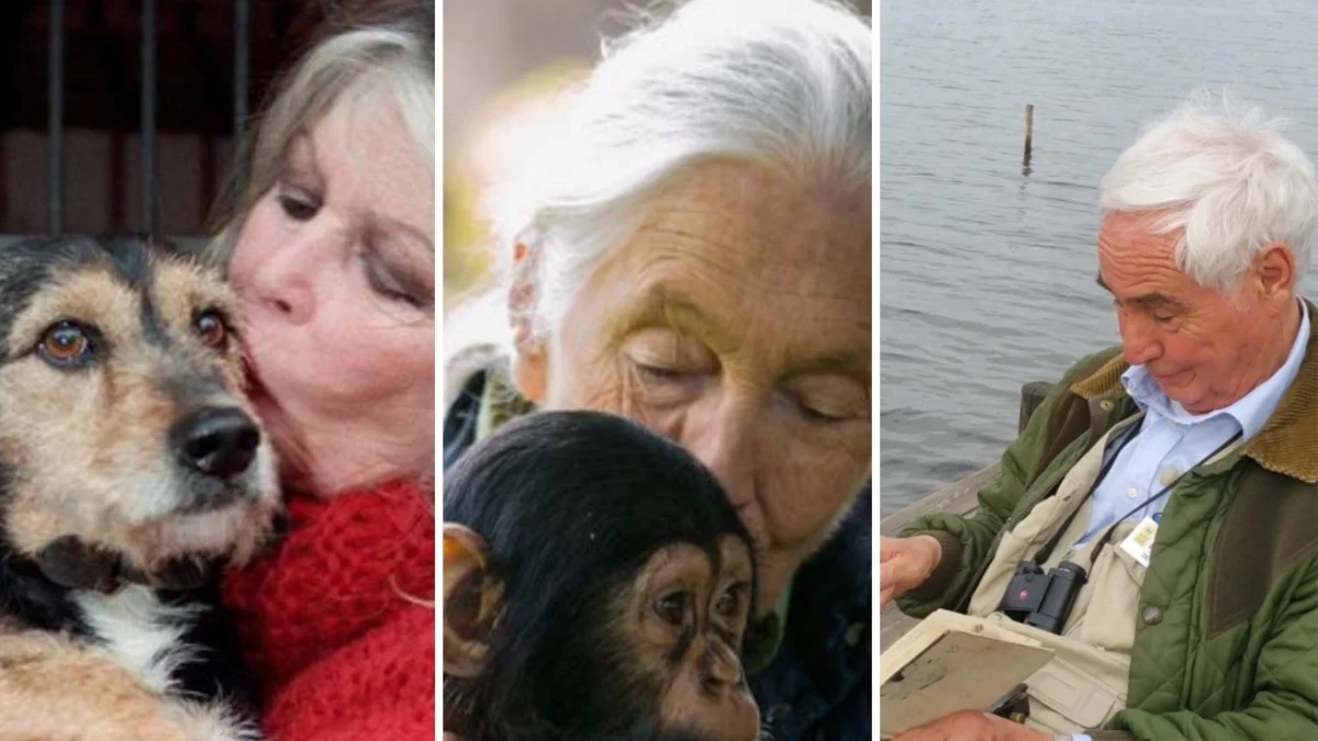 2025 em memória: Bardot, Goodall e Pratesi — o ano que mudou o olhar sobre os animais