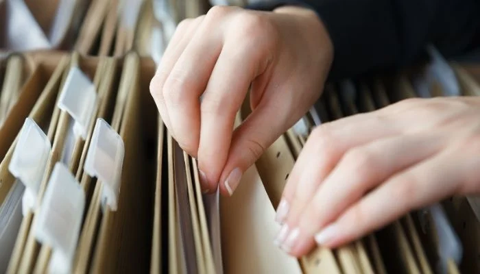 Dante Causa ou Antenato? Entenda as diferenças