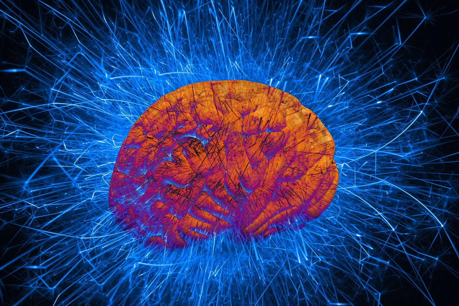 Sono é essencial para comunicação entre neurônios; privação altera mielina, diz estudo publicado na PNAS