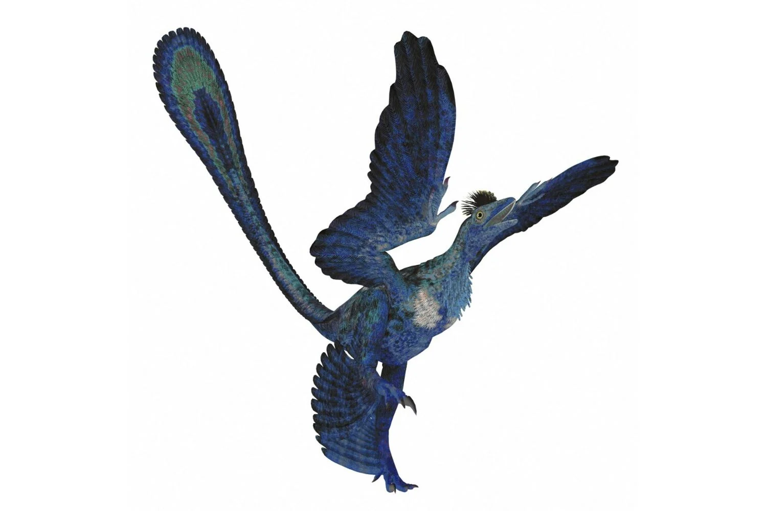 Microraptor: o dinossauro de quatro asas que dominava a planagem no Cretáceo Inferior